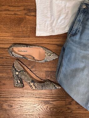 Charles David Snake-Print Pointed Block Heel Pumps in Beige, Black, Gray